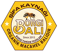 Borgi Balı | Organik Macahel Kestane ve Çiçek Balı